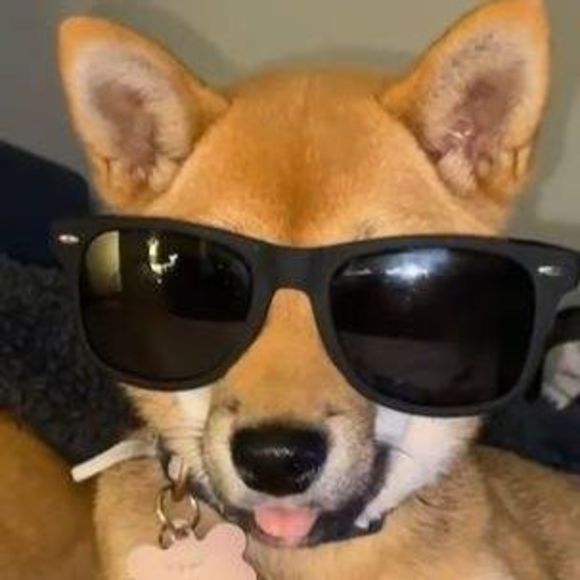 Meet your Posher, Üþ - Picture 1 of 1